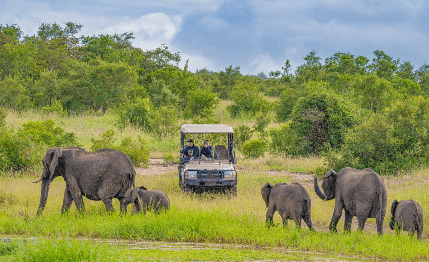 Albatros – en eventyrlig succeshistorie